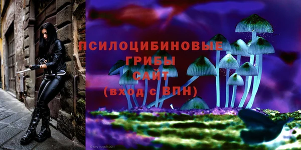 наркотики Медногорск