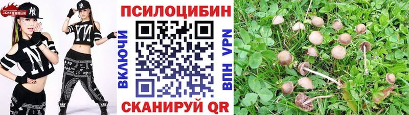 сколько стоит  Алексин  Псилоцибиновые грибы Psilocybine cubensis 