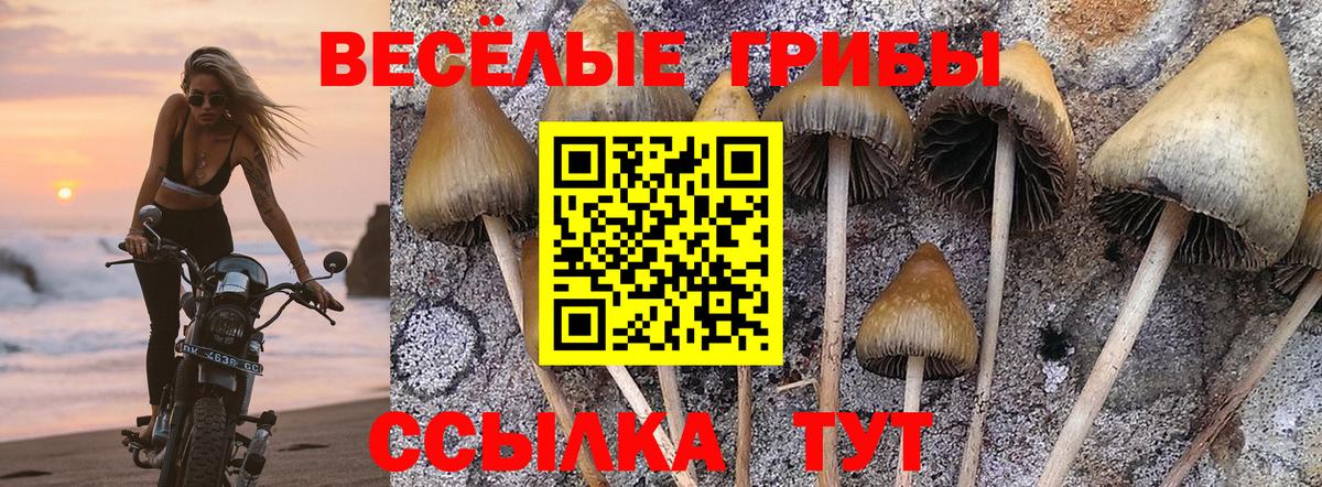 Алексин  Псилоцибиновые грибы Magic Shrooms  Вход с VPN  Галлюциногенные грибы прущие грибы 