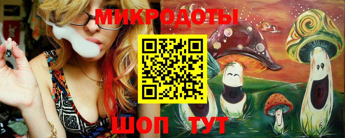 Псилоцибиновые грибы Psilocybe  Алексин 