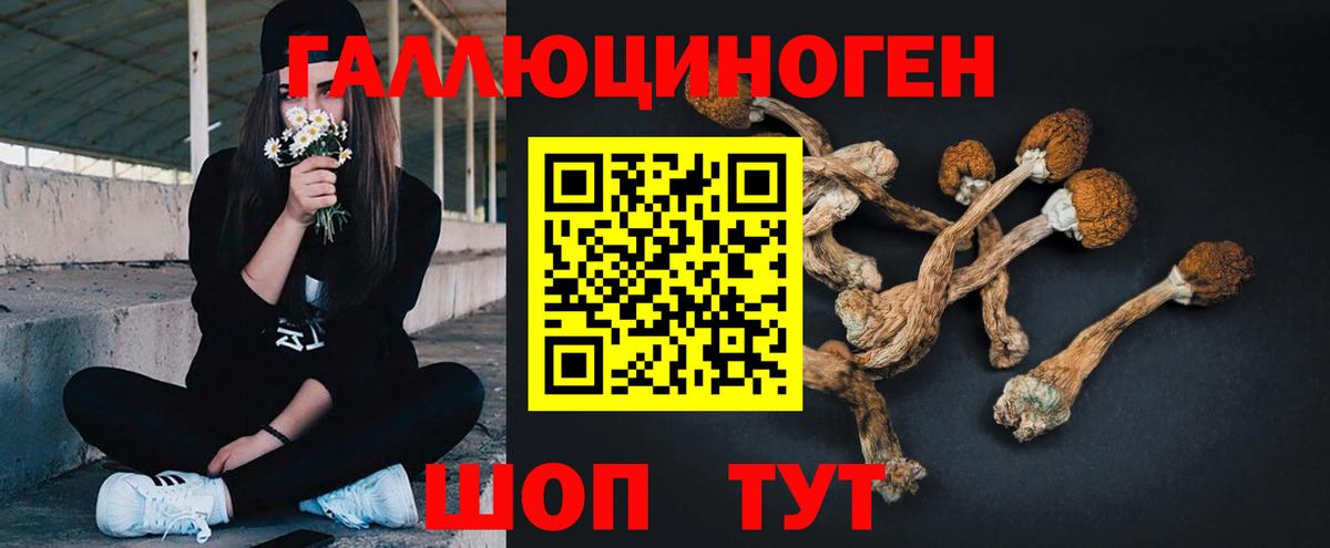 Псилоцибиновые грибы мухоморы Алексин